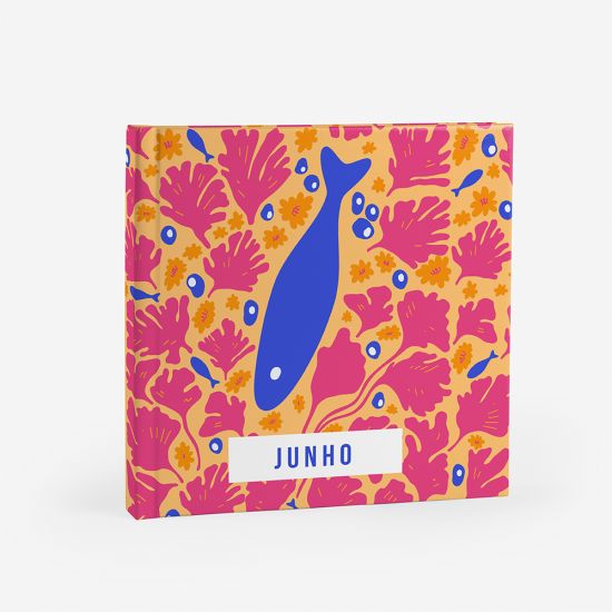 Álbum de Junho 3